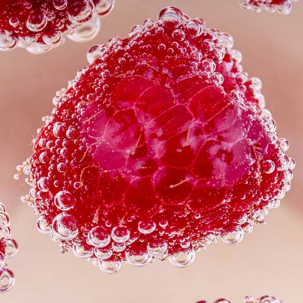 Framboise avec des bulles par Dafne Vos