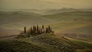 Podere Belvedere - Tuscany