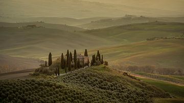 Podere Belvedere - Toscane
