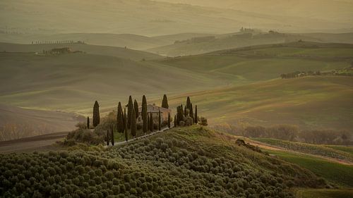 Podere Belvedere - Toscane