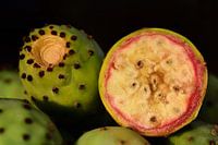 Prickly pears red