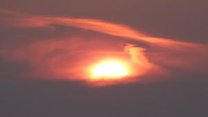 Zonnewieg