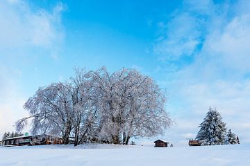 Landschaft im Winter im Thüringer Wald in der Nähe von Schmied von Rico Ködder