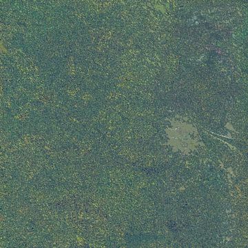 Green Grunge