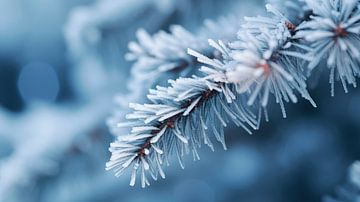 Winter Impressions No 8 by Treechild