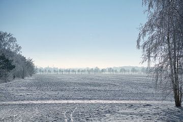 Le paysage hivernal. Gel et neige sur Martin Köbsch