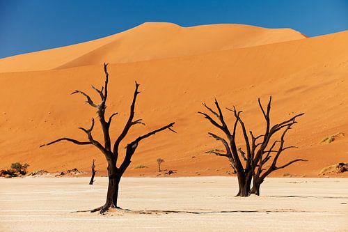 Deadvlei with dead trees, Namib desert landscape