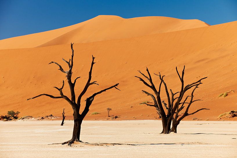 Deadvlei avec des arbres morts, paysage désertique du Namib par Jürgen Ritterbach