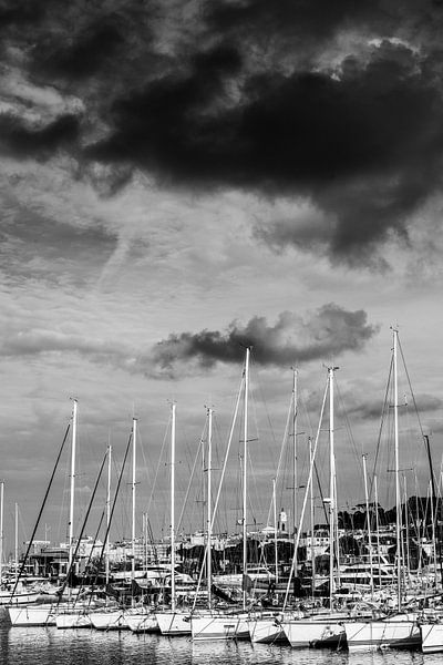 Voiliers dans le port de Saint-Tropez par Tom Vandenhende