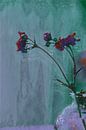 Orange Gaura Blumen in Glasvase von Gaby Hendriksz Miniaturansicht