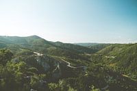 Uitzicht in de natuur