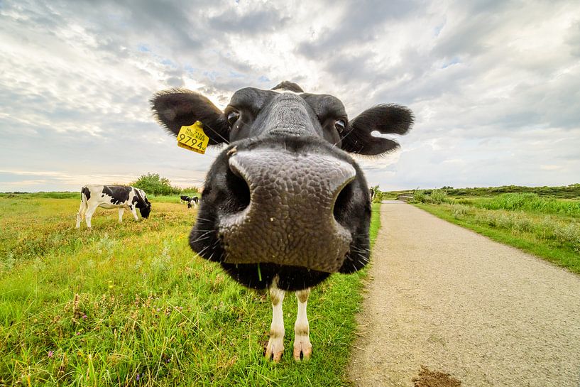 Happy Life - Fröhliche Kuh von Ellen van den Doel