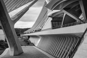 Spoorwegstation Guillemins Luik van Rob Boon