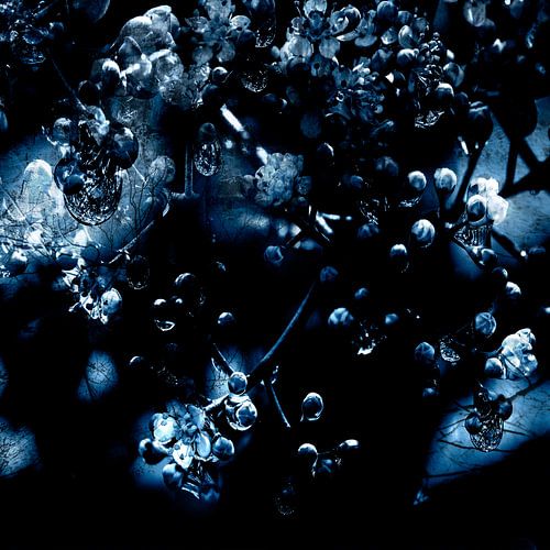 COLLIER BIJ VOLLE MAAN