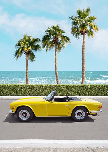 Ocean Drive van Gal Design