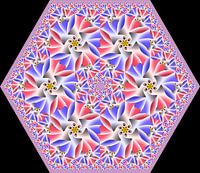 Oiseau de beauté Hexagone Fractal