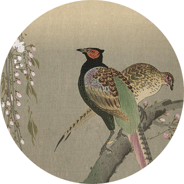 Koppel fazanten en kersenbloesem, Ohara Koson - ca. 1900