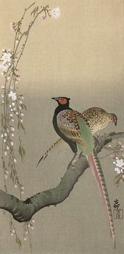 Couple de faisans et de fleurs de cerisier, Ohara Koson - vers 1900
