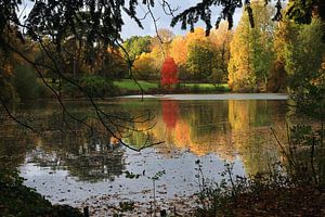 Réflexion colorée