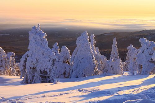 Le gros morceau dans la robe d'hiver