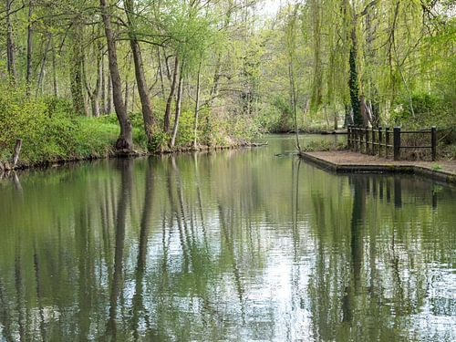Paysage de la Spreewald dans le Brandebourg