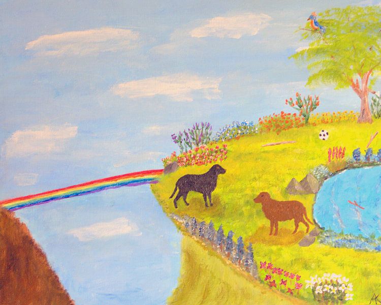 Rainbow Bridge van Aat Kuijpers