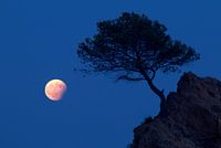 Maan Eclipse