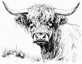 Zwart wit tekening schotse hooglander kop van Emiel de Lange