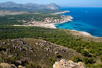 Uitzicht op de zee en het strand van Cala Mesquida met bomen en struiken op de voorgrond