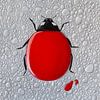 Lady Drop - hand-painted 'liquid'ladybird by Qeimoy