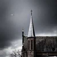 De meeuw en de kerk
