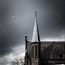 The seagull and the church by Jeroen