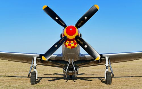P51 Mustang fighter plane by Riekus Reinders