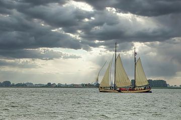 La Promesse d'Or, voilier. Clipper Zeeland sur Gert Hilbink