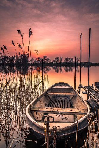Le bateau solitaire sur Niels Barto