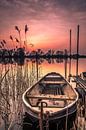 De eenzame boot van Niels Barto thumbnail
