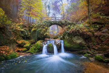 Waterval in herfst van Thijs Friederich