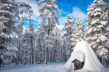 Ondergesneeuwd! Hutje in Fins bos van Rietje Bulthuis