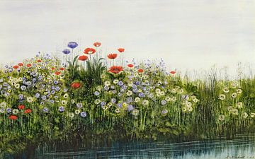 Andrew Nicholl,Poppies By A Stream