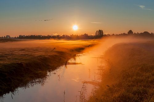 Polder ontwaakt in warme herfstzon
