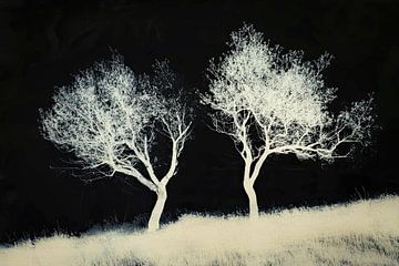 Arbres de nuit