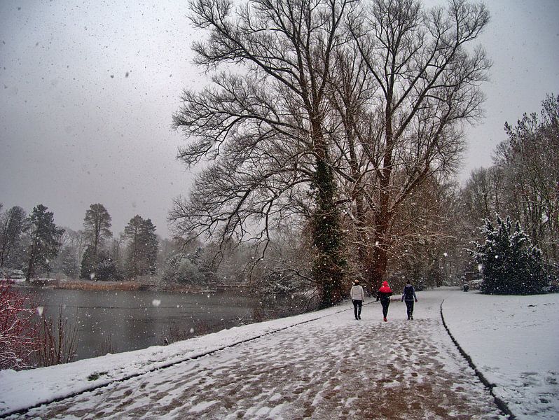 Blazende sneeuw 1 van Edgar Schermaul