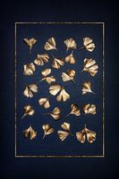 Feuilles de Ginkgo