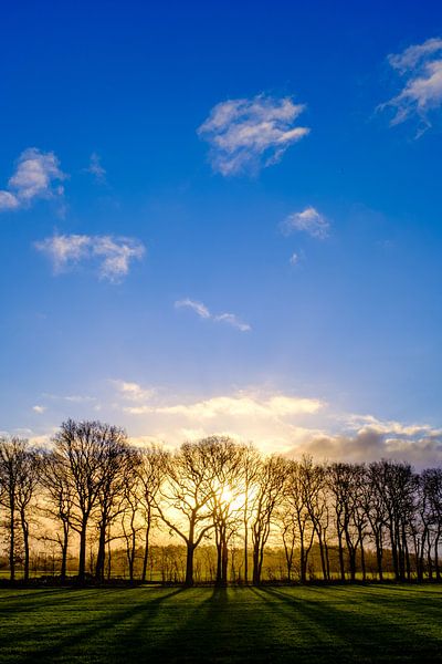 Werfen Schatten am Morgen von Klaas Guchelaar