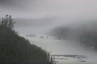 Paysage de brouillard