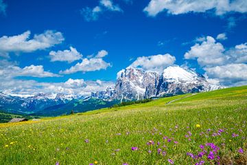 Alpe di Siusi panorama in de Dolomieten tijdens de lente