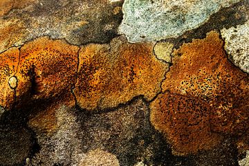 Abstract rock by Jan Tuns