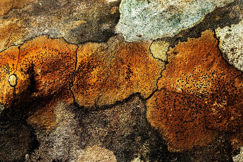 Abstracte rots van Jan Tuns