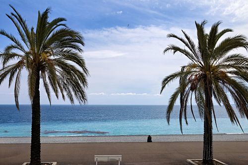 Promenade with palm trees and view of the Mediterranean Sea in downtown Nice, Cote d'Azur