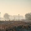 Wintermorgen entlang der Auen des Flusses IJssel von Fotografiecor .nl
